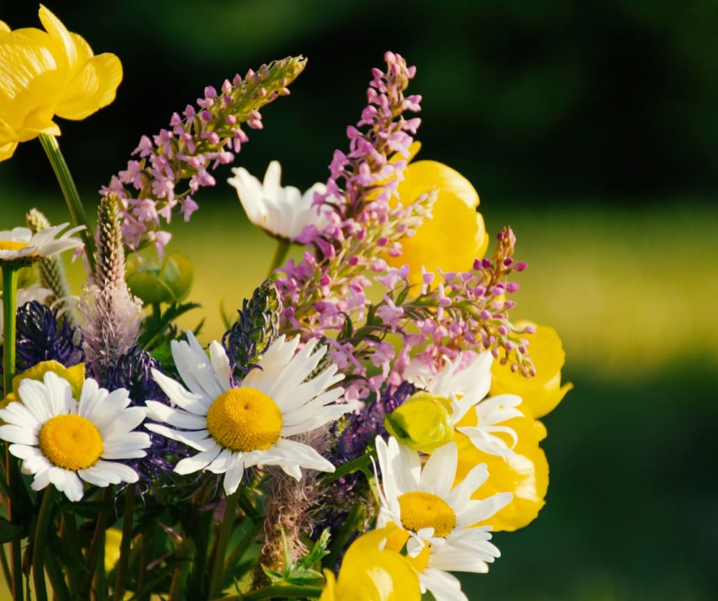 Yellow and white wildflowers in a bouquet.