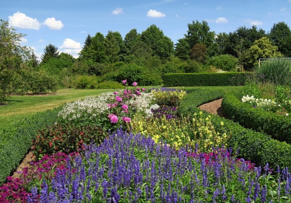 Colorful flowers in a landscaped garden.